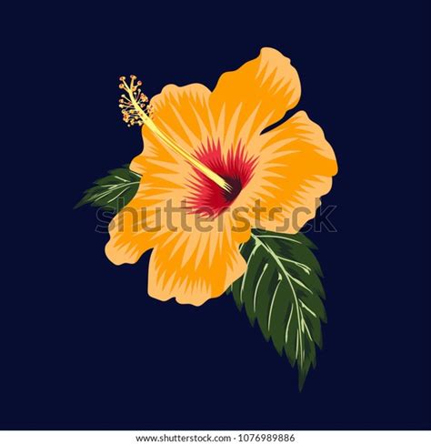 Hibiscus Flowers Vector Illustration Stock Vector Royalty Free 1076989886 Shutterstock