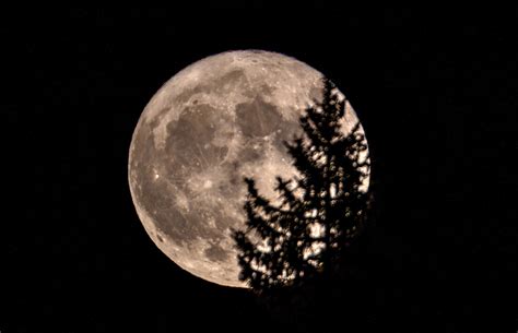 Vollmond Mai Jagobahei