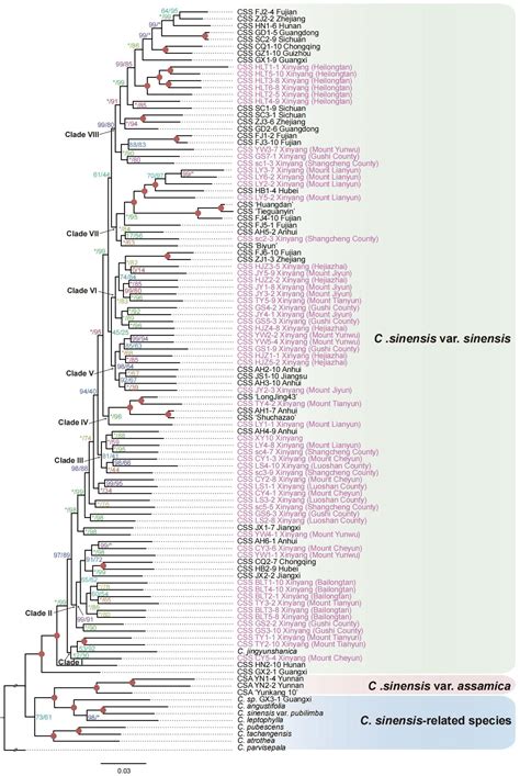 Frontiers Transcriptome Based Variations Effectively Untangling The