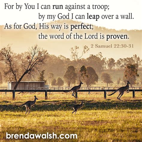 The Perfect Word Brenda Walsh Scripture Images