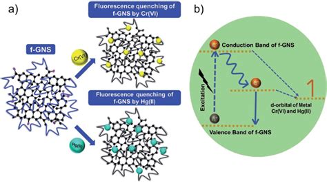 A Schematic Diagram Showing The Fluorescence Quenching Of F Gns By Download Scientific