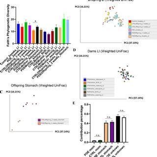 Analysis of α and β diversity of samples Maternal fecal samples