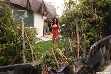 BlacksOnBlondes Danae Mari 0057 Porn Pic