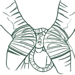 Redout Luscious Hentai Manga Porn