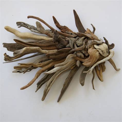 Driftwood Fish Sculpture | Driftwood art, Driftwood fish, Driftwood ...