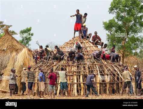 Ethiopia - traditional village houses all neighbors help in the building of a wooden house Stock ...