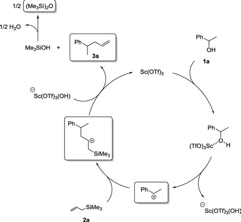 Homogeneous Sc OTf 3 Catalyzed Direct Allylation Reactions Of General