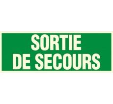 Panneau Sortie De Secours En Pvc Photoluminescent Rigide