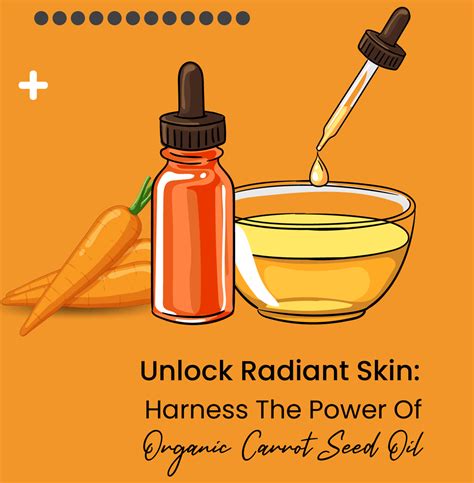 Unlock Radiant Skin Harness The Power Of Organic Carrot Seed Oil Allurials