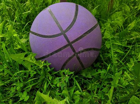 156 Purple Basketball Court Stock Photos - Free & Royalty-Free Stock ...