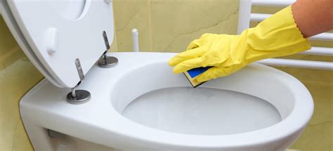 How To Clean Stubborn Toilet Stains Guide By Fantastic Services