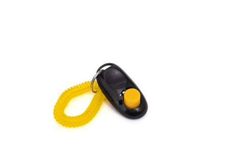 dog training clicker guide dogs sant