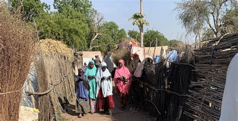 IDPs In Nigeria’s Adamawa State Anticipate Resettlement - HumAngle