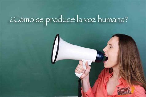 Cómo se produce la voz humana voz del latín vox vocis