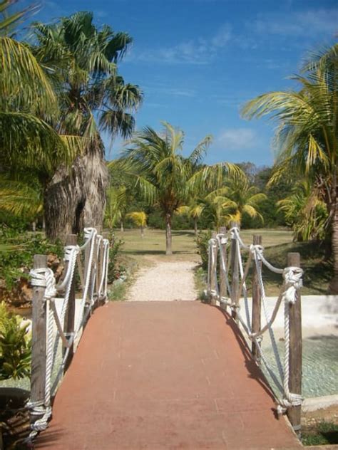 Der Weg Zum Strand Royalton Hicacos Resort Spa Adults Only