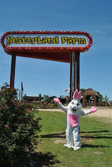 DSC_0015 | YesterLand Farm | Flickr