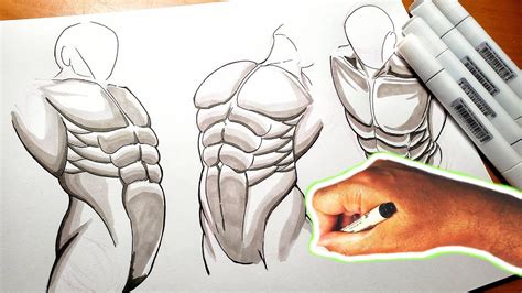 Muscle Torso Drawing