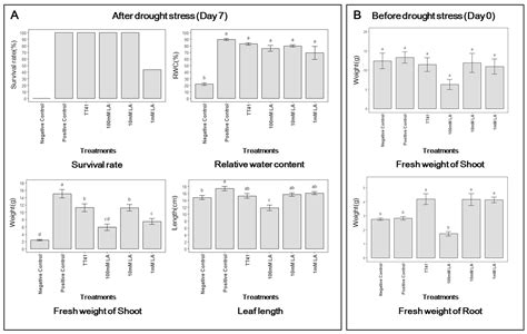 Metabolomics Reveals Lysinibacillus capsici TT41-Induced Metabolic
