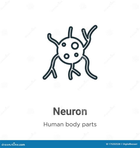 Neuron Outline Vector Icon Thin Line Black Neuron Icon Flat Vector