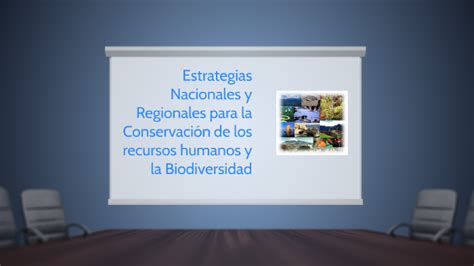 Estrategias Nacionales Y Regionales Para La Conservación De By Lady Yaritza Llanos Pompa