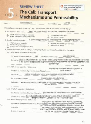 AP Lab Ex 07 Review Sheet Chapter 7 The Integumentary System Bio