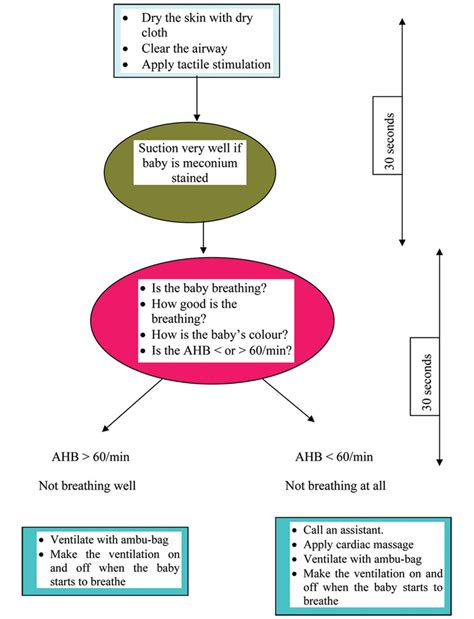 Resuscitation Flow Chart