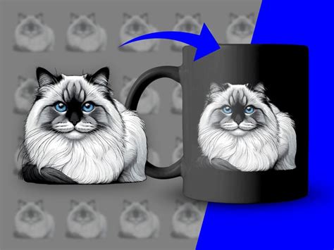 Cat Kitten Birman Blue Eyed SVG PNG Clipart Sublimation Transparent ...