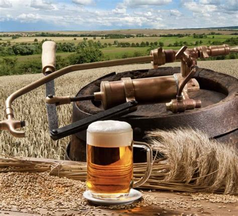 beer     main steps   brewing process