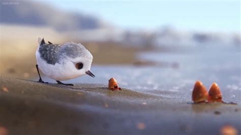 Piper Short Movie Pixar It Is So Nice Youtube