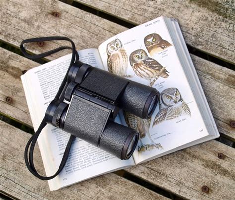 Best Rangefinder Binoculars - BinoSpot