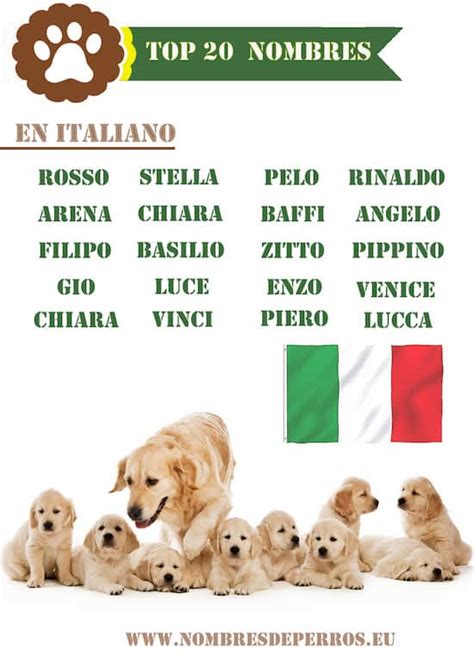 Nombres Italianos Para Perros Seg N G Nero Machos Y Hembras Caninopedia