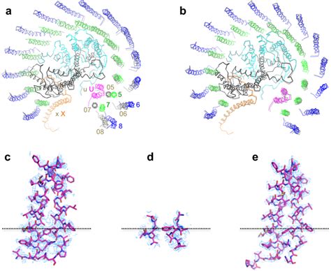 Structural Comparison Of The Monomers In The Dimer A Top View Of