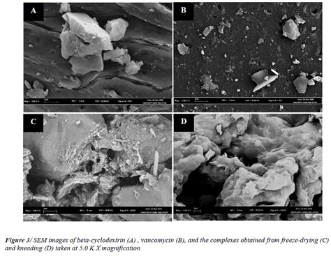 Physicochemical characterization of vancomycin and its complexes with ?-cyclodextrin