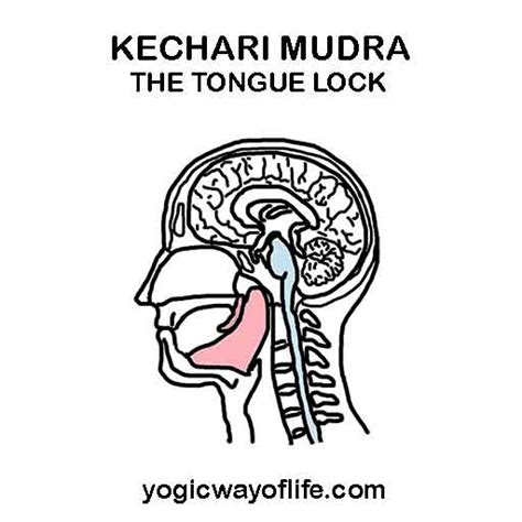 Kechari Mudra - The Tongue Lock