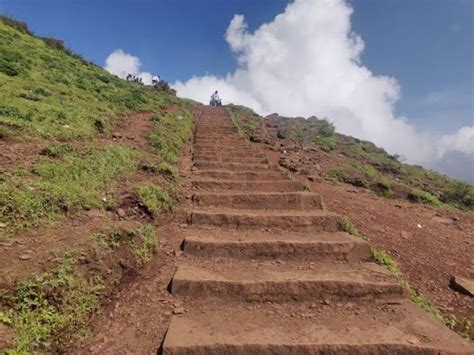 Climb Mullayanagiri Peak | Chikmagalur - What to Expect | Timings ...