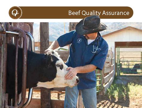 Beef Quality Assurance Trainings