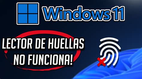 Lector De Huellas No Funciona Despues De Actualizar En Windows 1110 Solucion Youtube