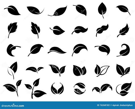 Set Of Leaf Icons Stock Vector Illustration Of Surreal