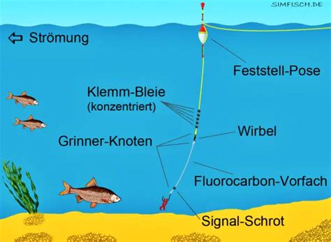 Feststellposen Montage Aufbau Anwendung Angeltipps Simfisch De