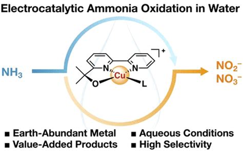 Electrocatalytic Homogeneous Ammonia Oxidation In Water To Nitrate And