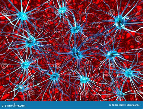 Neurons Active Nerve Cells In Human Neural System Braincell 3d