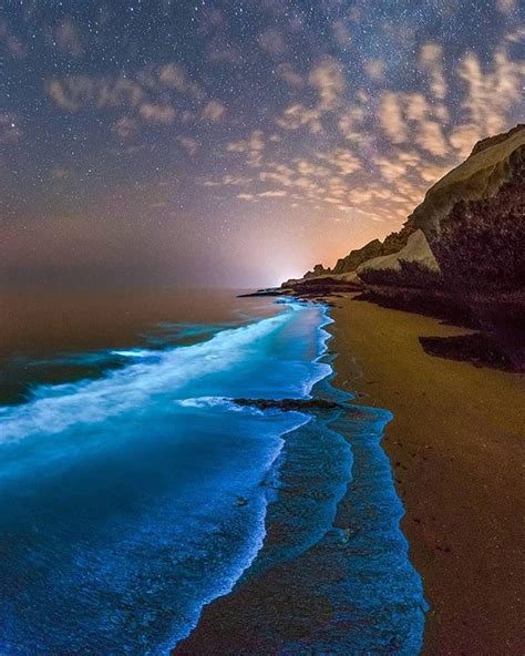 EARTH OFFICIAL On Instagram Bioluminescent Phytoplankton In The