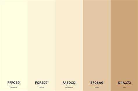 25+ Best Beige Color Palettes with Names and Hex Codes – CreativeBooster