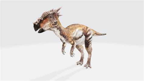 Dracorex Dinosaur 3d Model Cgtrader