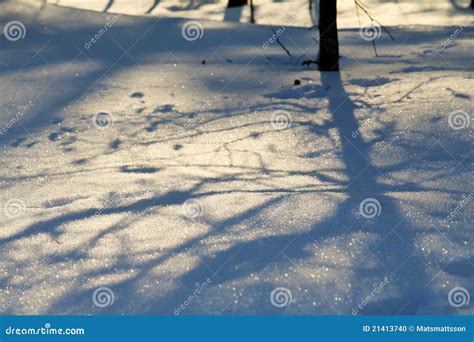 Nordic winter stock photo. Image of adornment, clear - 21413740