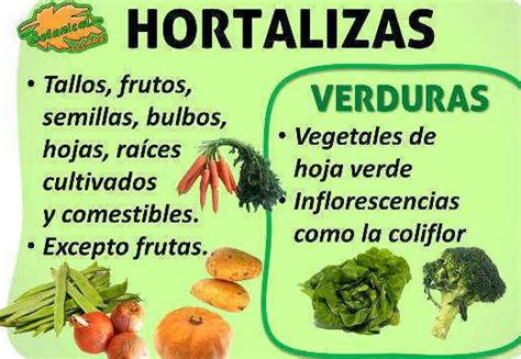 Diferencia Entre Verdura Y Hortaliza ¿cuál Es La Distinción Eco360