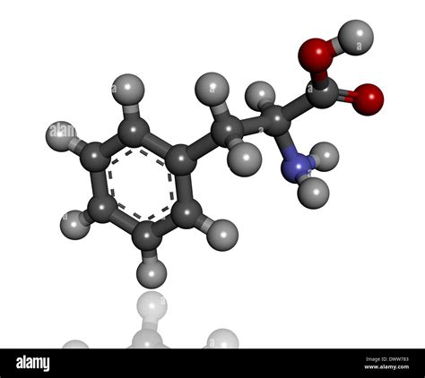 L phenylalanine Banque de photographies et dimages à haute résolution