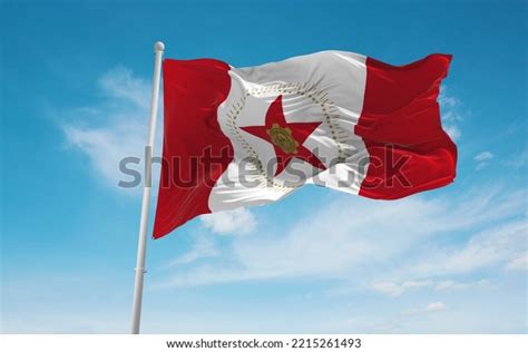 Official Flag Birmingham Alabama Untied States Stock Illustration ...