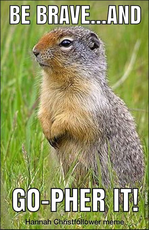 Go for it...gopher it! Hannah Christfollower meme. Funny Animal ...