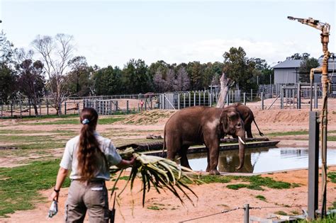 Taronga Western Plains Zoo Explore Dubbo Hunterhunter